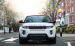 Land Rover Evoque NW8 2015 Widescreen Picture #1